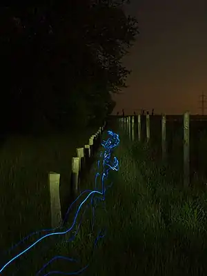 La source est ici un ruban de diodes électroluminescentes porté par un chien, le photographe compte plus ou moins sur le hasard pour obtenir un résultat digne d'intérêt : il est conseillé d'agrandir cette photographe jusqu'à ces limites pour apprécier la richesse de ses nuances dans les ombres