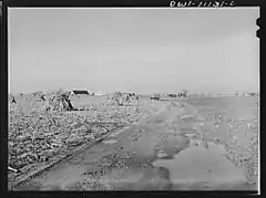Load of fodder being carried from the field to a barn