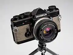 avec gainage en peau de lézard