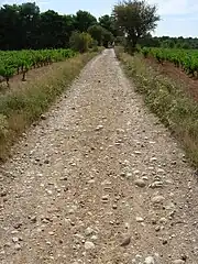La Via domitia à Pinet (France)Les bords du chemin, qui est une ancienne voie romaine, convergent vers les personnages qui apportent un élément de vie dans le paysage. Il était important que le premier plan, somme toute relativement vide, soit le plus net possible en même temps que les plans éloignés ; autrement, on aurait une vaste plage floue du plus mauvais effet. Ici le cheminement du regard est presque évident : d'abord attiré par la tache claire que constitue le chemin, il s'éloigne ensuite jusqu'à découvrir les détails situés au voisinage du point de fuite.