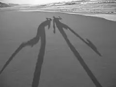 Shadows at the beach