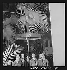 Talking to a parrot in the patio of the Pan-American Union