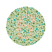 Ishihara Planche no 11.