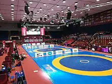 Tapis de lutte (championnat d'Europe de 2019 à Bucarest)