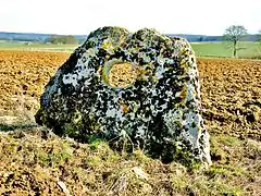 Dolmen nommé pierre percée.